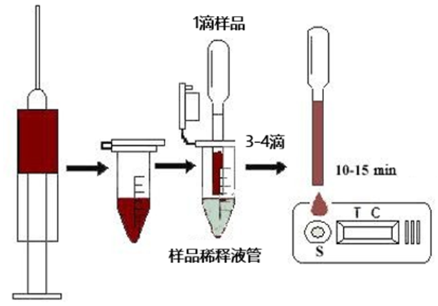 非洲豬瘟快速檢測卡使用操作